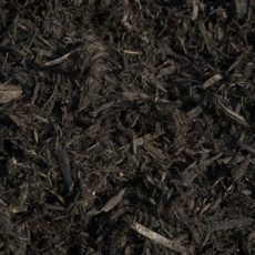 Terra Vista Landscape - Enhanced Black Cedar